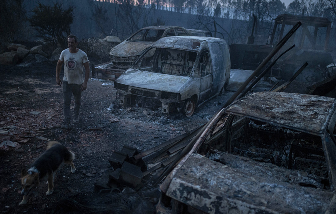 Последствия лесного пожара в испанской деревне Верин
