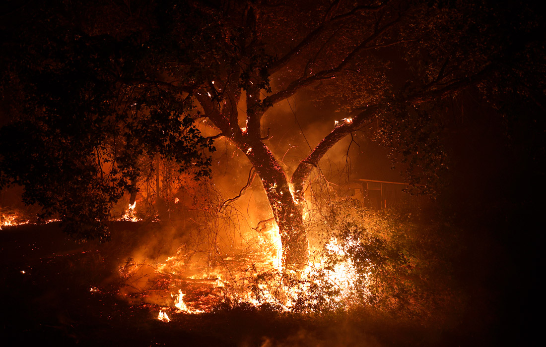 Лесной пожар в испанской Галисии уничтожил почти 600 гектаров леса