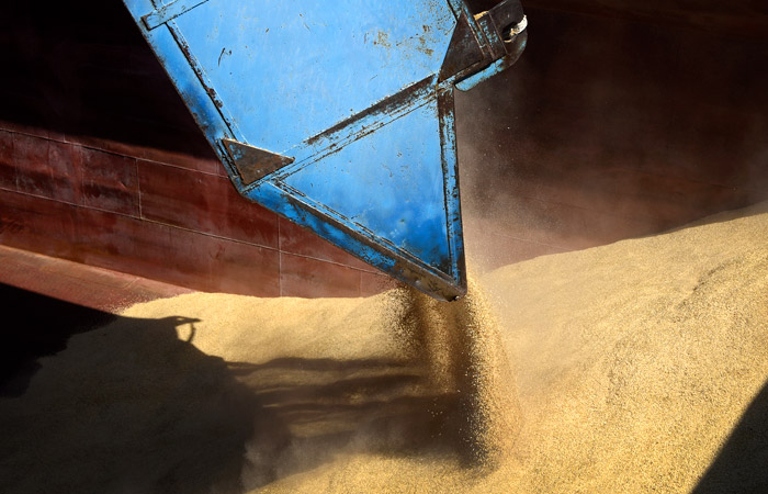 Минсельхоз РФ может пересмотреть планы по экспорту зерна и видит риски для сбора 130 млн т