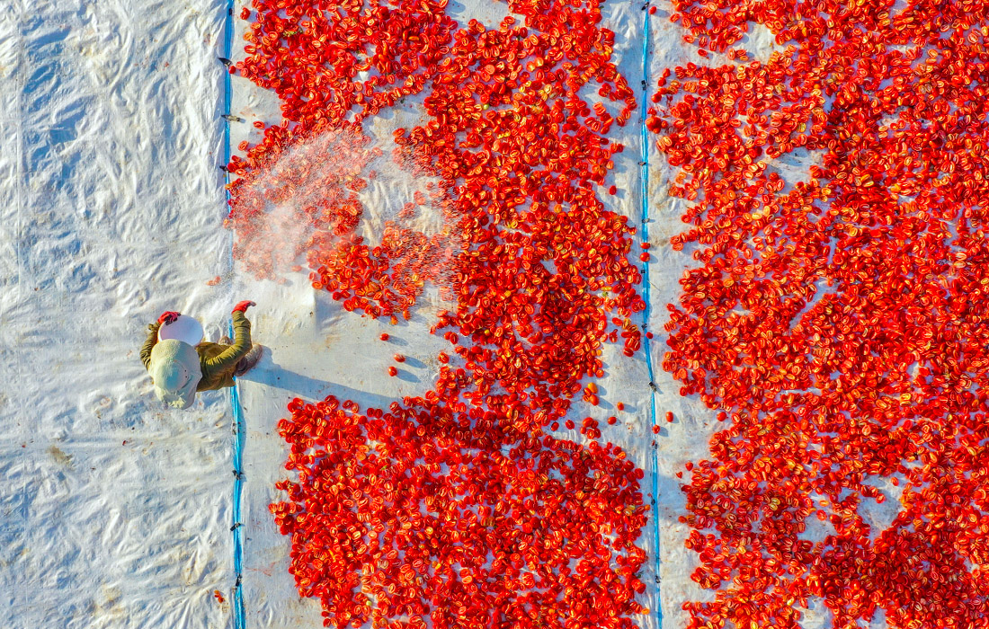 Сушка помидоров в Турции