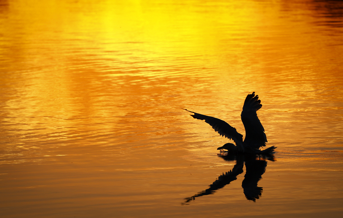 Восход солнца в Гамбурге
