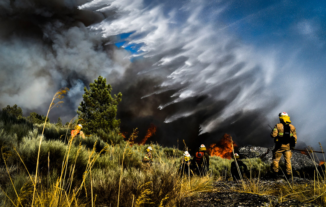 Лесной пожар в Селорику-да-Бейра, Португалия