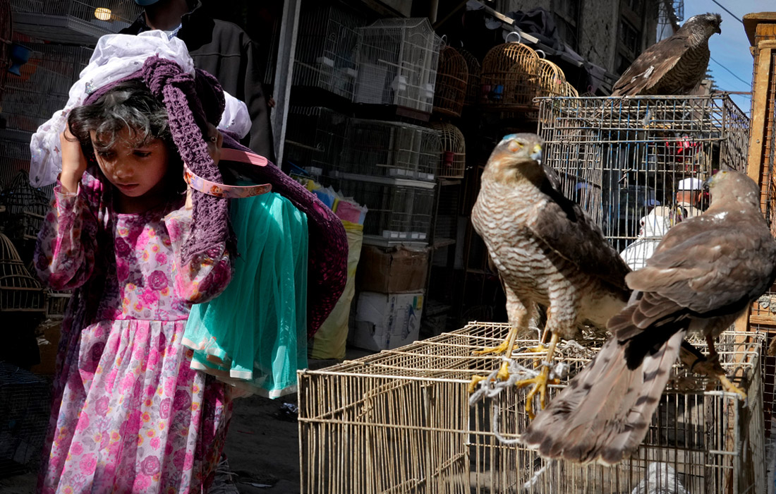 По словам экспертов ООН, талибы совершили множество нарушений прав человека, наиболее вопиющее из которых - фактическое вытеснение женщин и девочек из общественной жизни, а также их систематическое угнетение