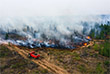 Дознаватели МЧС России расследуют обстоятельства возникновения природного пожара в Спасском районе Рязанской области, которое привело к уничтожению части лесного ландшафта.