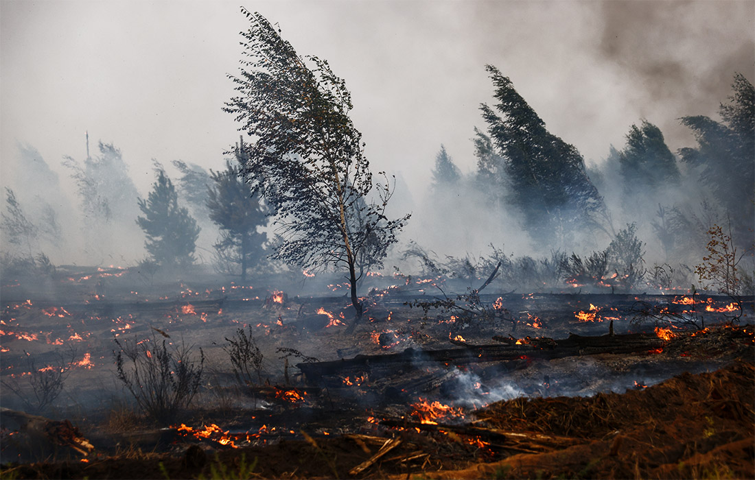 Объединенная противопожарная группировка обеспечила безопасность населенных пунктов в условиях природных пожаров в Рязанской области, сейчас угрозы перехода огня на жилье нет, заявил телеканалу "Россия-24" глава Рослесхоза Иван Советников.