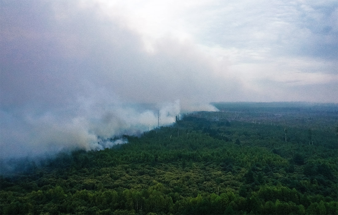 Вертолетчики Западного военного округа (ЗВО) оказывают помощь в тушении лесных пожаров в Рязанской области, сообщила пресс-служба округа в четверг.