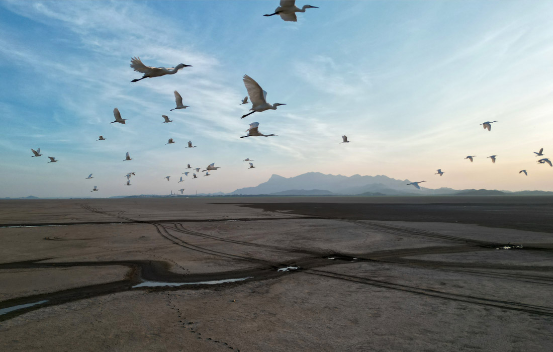 19 августа власти КНР опубликовали первое в 2022 году предупреждение на национальном уровне об угрозе засухи на фоне масштабных лесных пожаров и появления угрозы урожаю