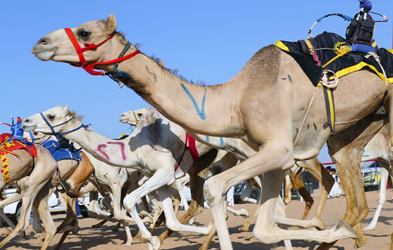 Фотохроника 24 августа