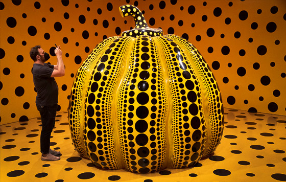 Фотохроника 25 августа