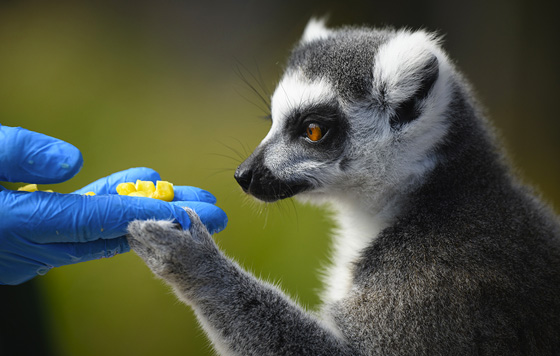 Лучшие фото недели
