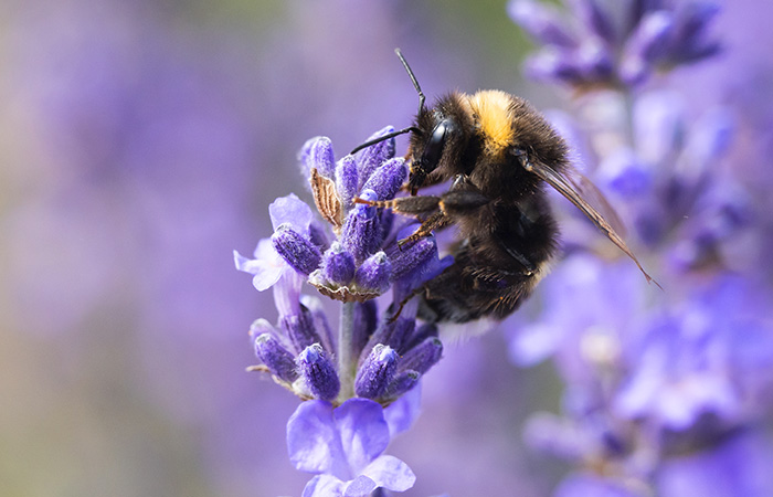 Что произошло в мире науки. Вечерний дайджест
