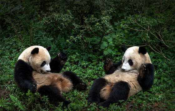 Фотохроника 30 августа