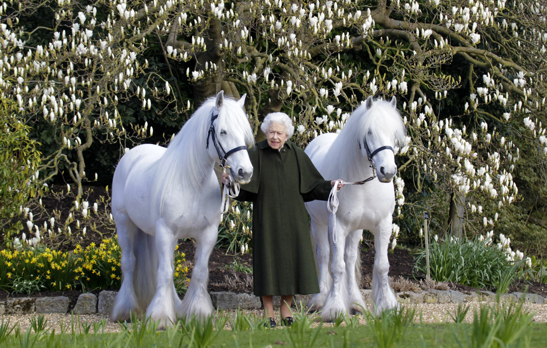 Королева Елизавета II на свое 96-летие в поместье Сандрингем. 2022 год.