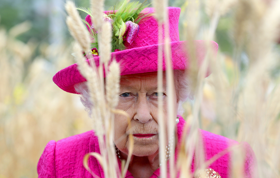 Королева Великобритании в парке Национального института сельскохозяйственной ботаники в Кембридже. 2019 год.