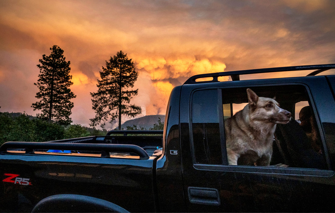 Лесные пожары в Калифорнии