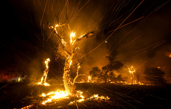 Лучшие фото недели
