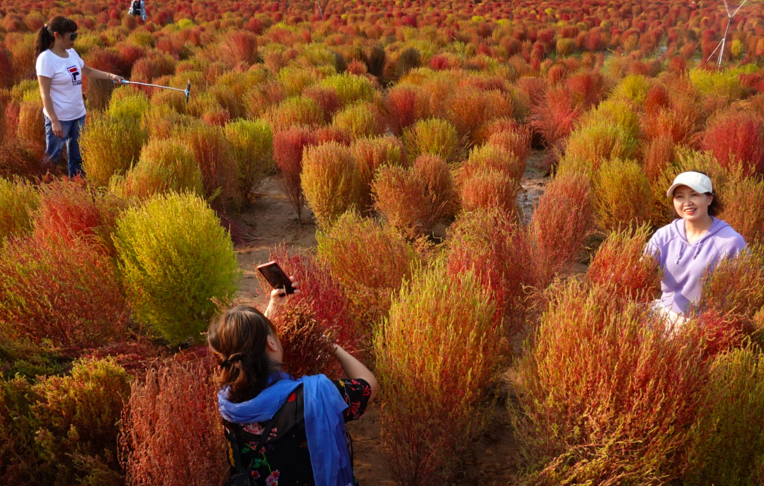 Туристы в парке в китайском Сиане