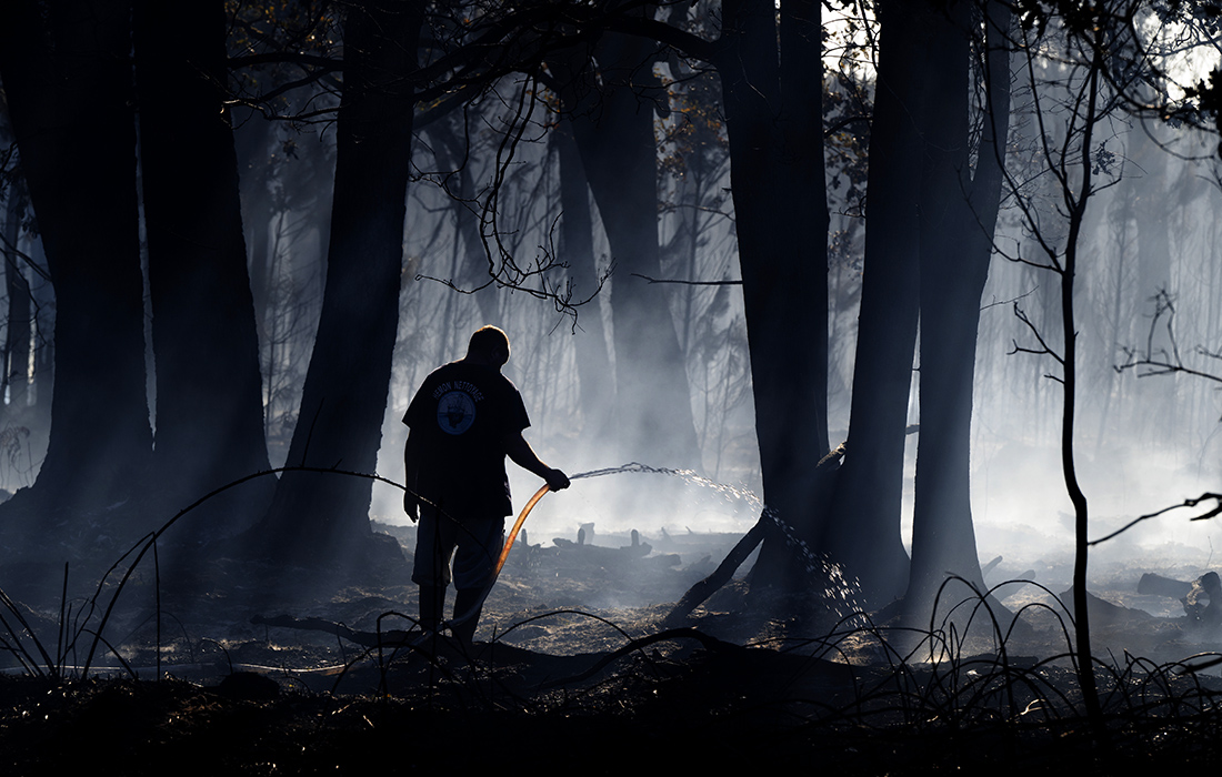 Лесной пожар во Франции