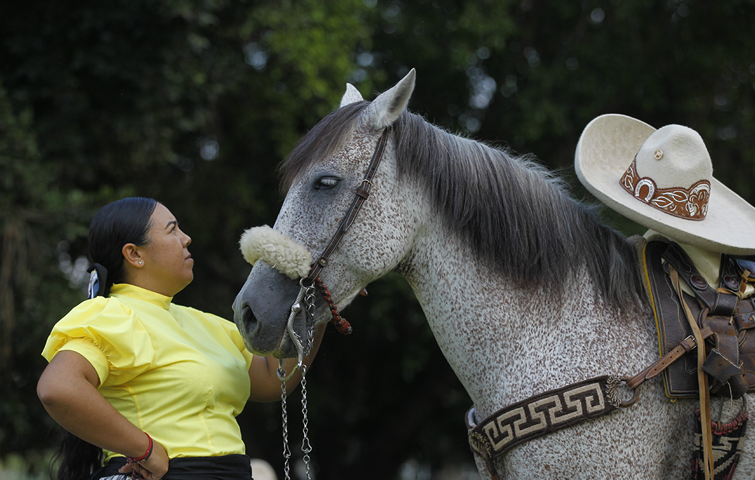 Школа верховой езды для девочек в Мексике