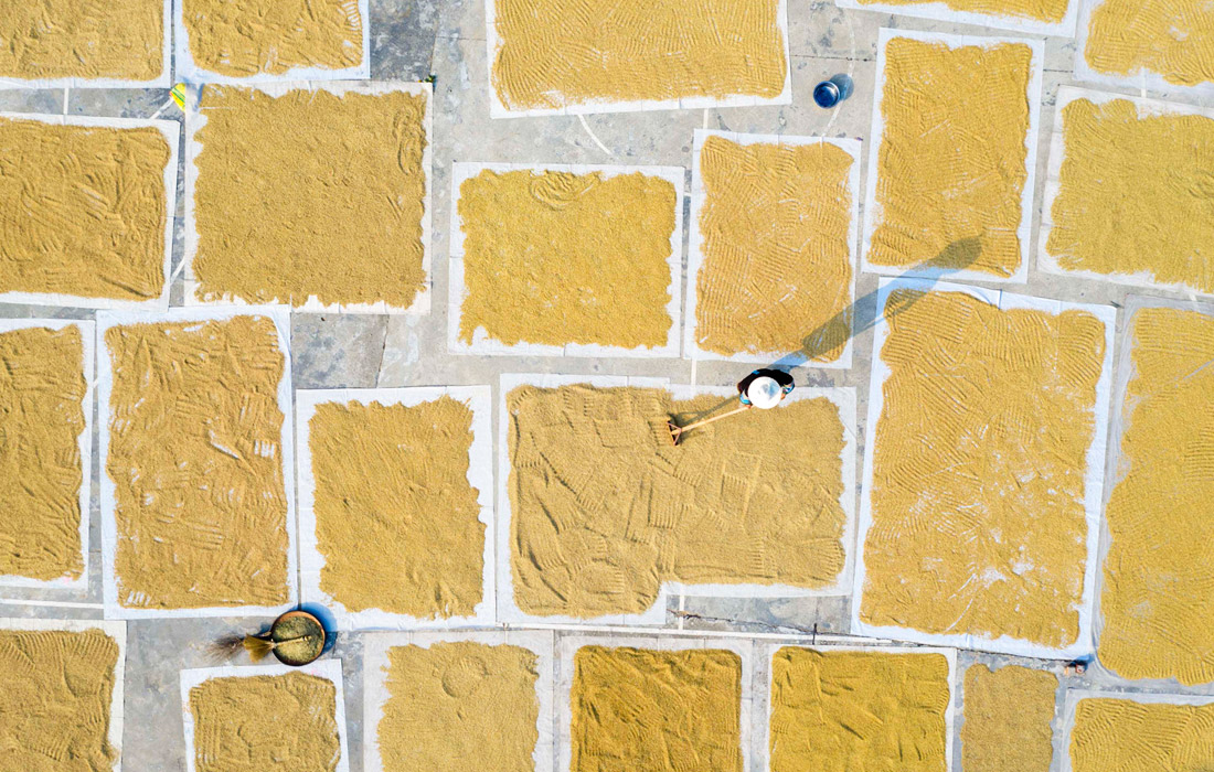 Сушка урожая риса на юго-западе Китая