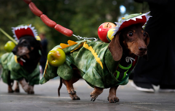 Лучшие фото недели