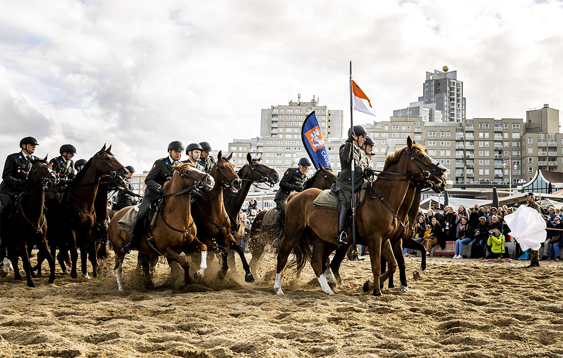 Члены Кавалерийского почетного эскорта провели тренировку в Нидерландах
