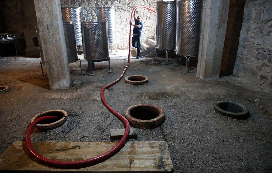 В Грузии собирают урожай винограда и приступают к производству вина