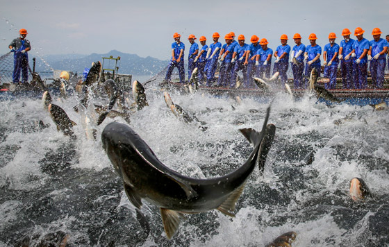 Фотохроника 22 сентября