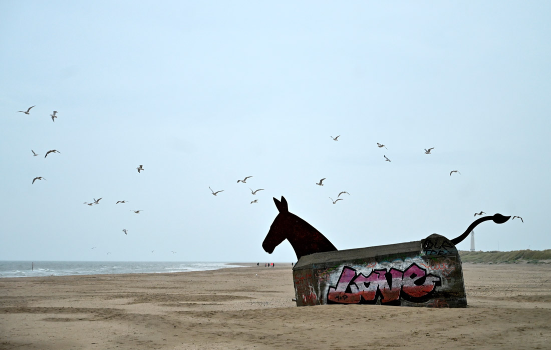 Пляж в деревне Оксби, Дания