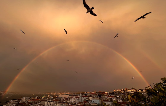 Фотохроника 23 сентября