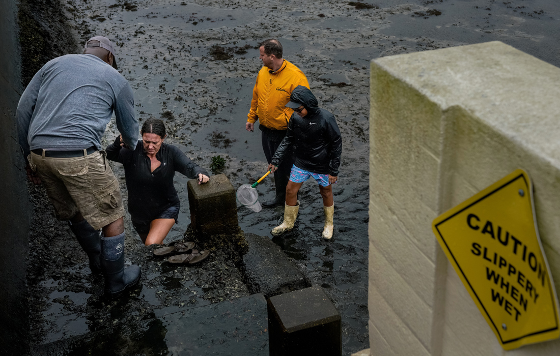 Тампа, Флорида