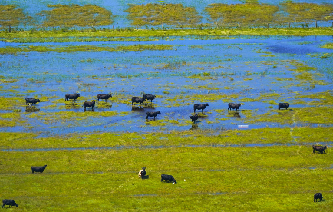 Последствия обрушения тропического урагана "Иэн" на штат Флорида на юго-востоке США