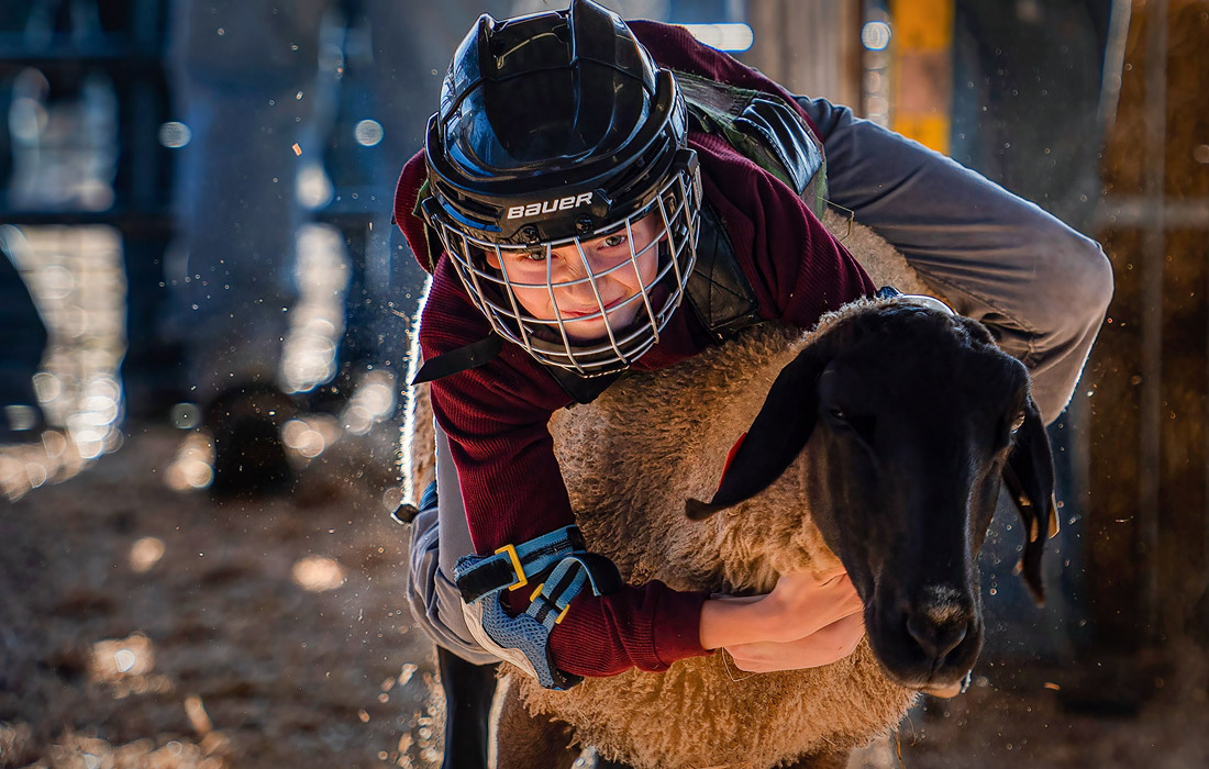 Соревнования во время сельскохозяйственной ярмарки в Блумсбурге, США
