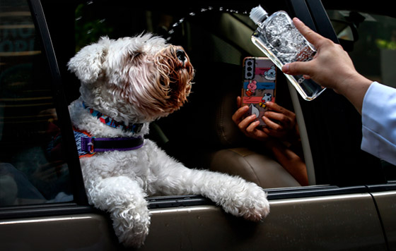 Фотохроника 3 октября