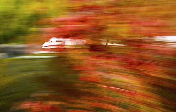 Фотохроника 4 октября