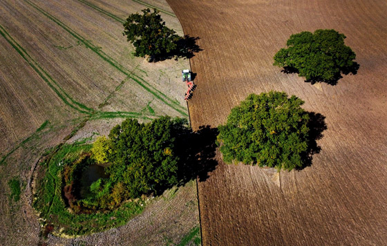 Фотохроника 6 октября