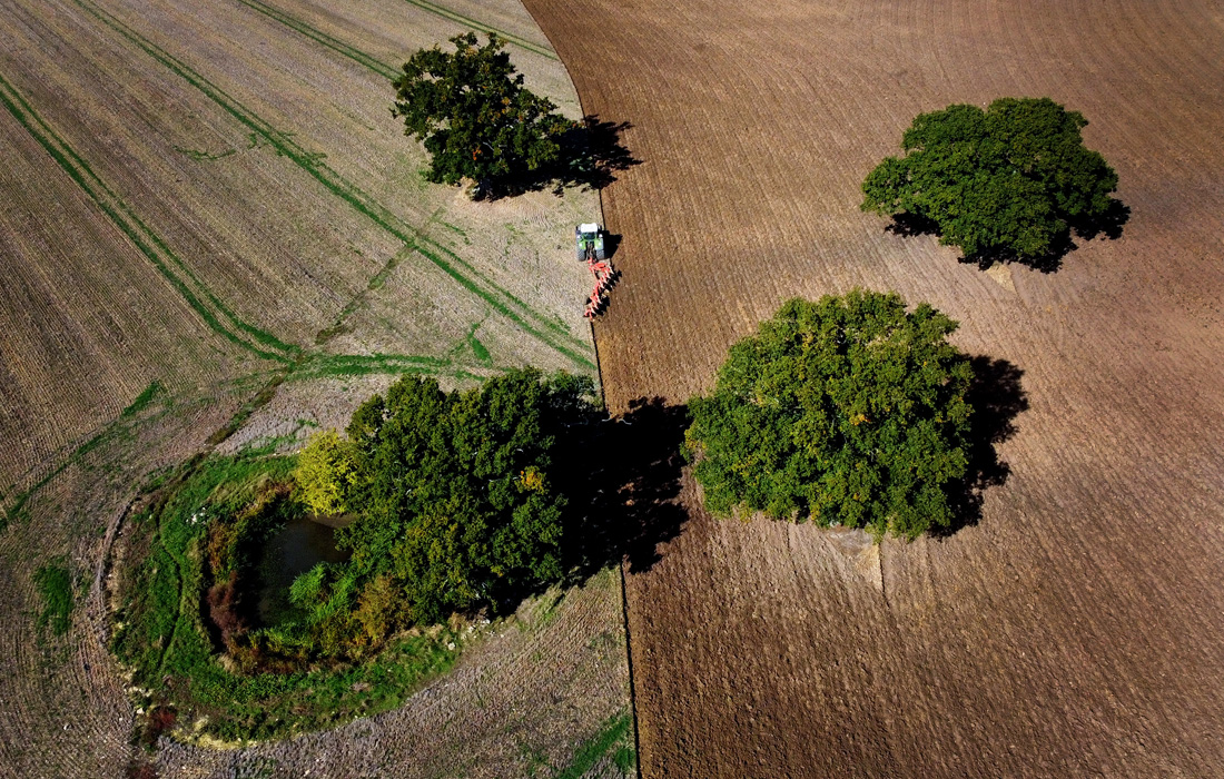 Фермерские поля в английском графстве Кент
