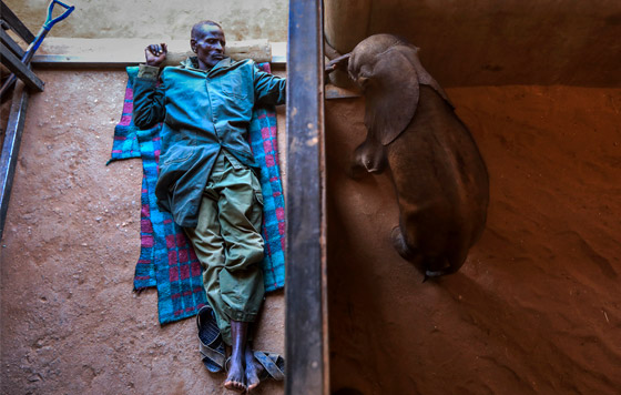 Фотохроника 13 октября