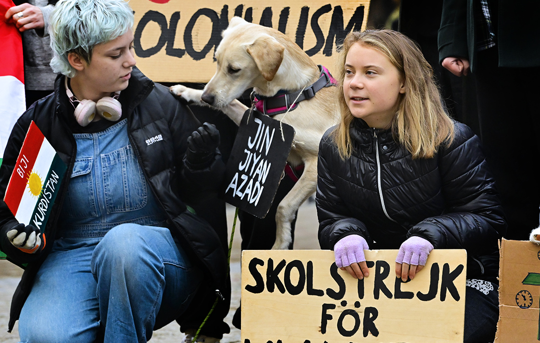 Экологическая активистка Грета Тунберг на акции Fridays For Future в Стокгольме