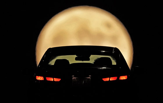 Лучшие фото недели