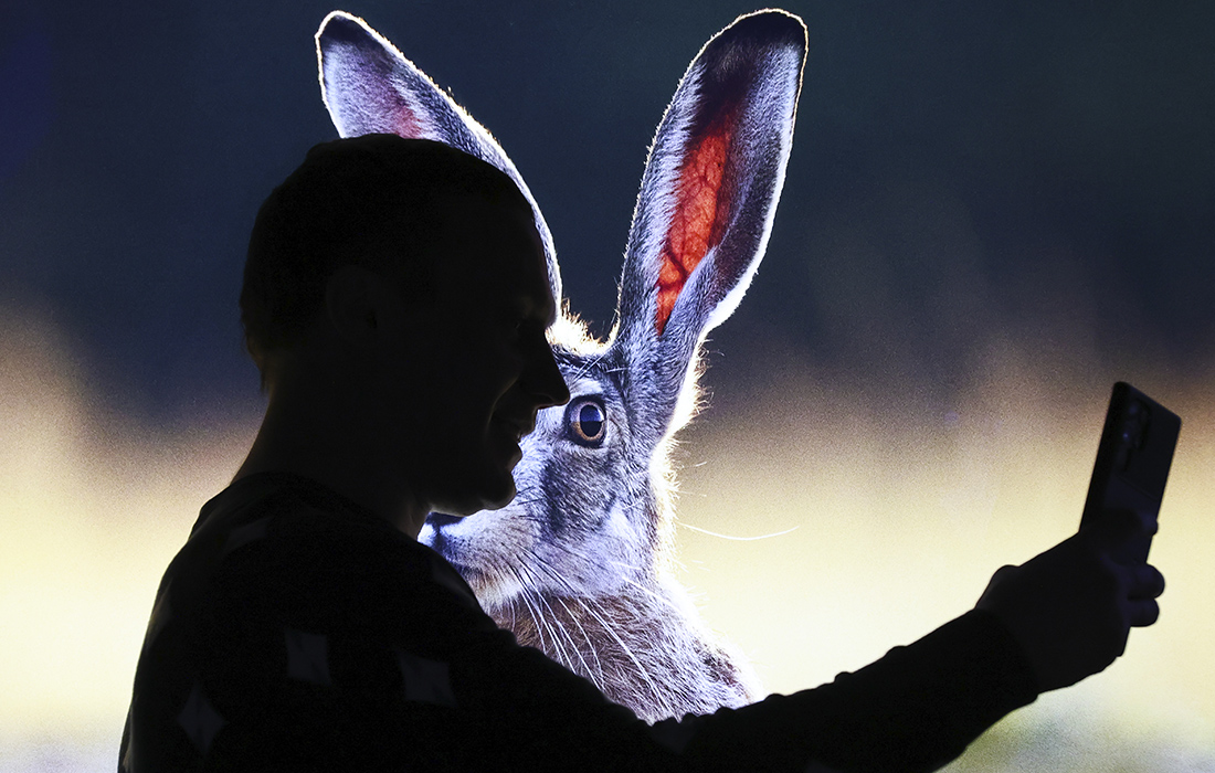 Международный фестиваль дикой природы "Золотая черепаха" в Новой Третьяковке