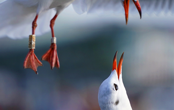 Лучшие фото недели