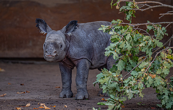 Фотохроника 26 октября