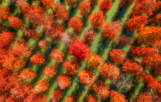 Лучшие фото недели