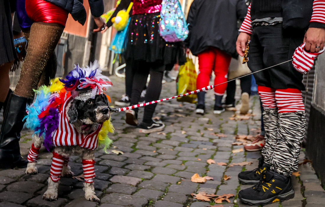 В Кельне празднуют открытие сезона карнавалов