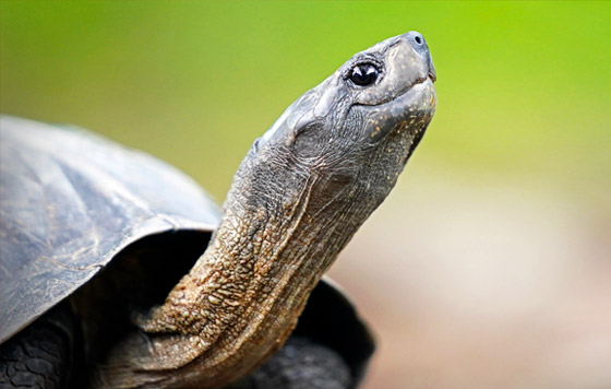 Лучшие фото недели