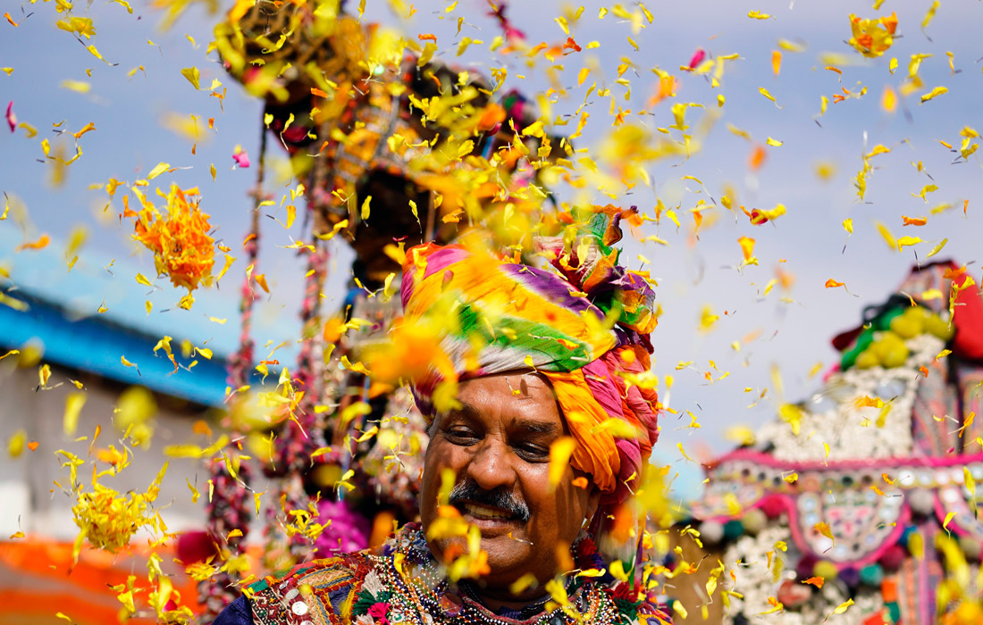 Ярмарка верблюдов в Пушкаре, Индия