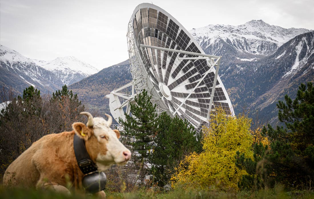 На бывших спутниковых антеннах в Швейцарии установили солнечные батареи