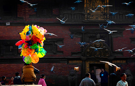 Фотохроника 18 ноября