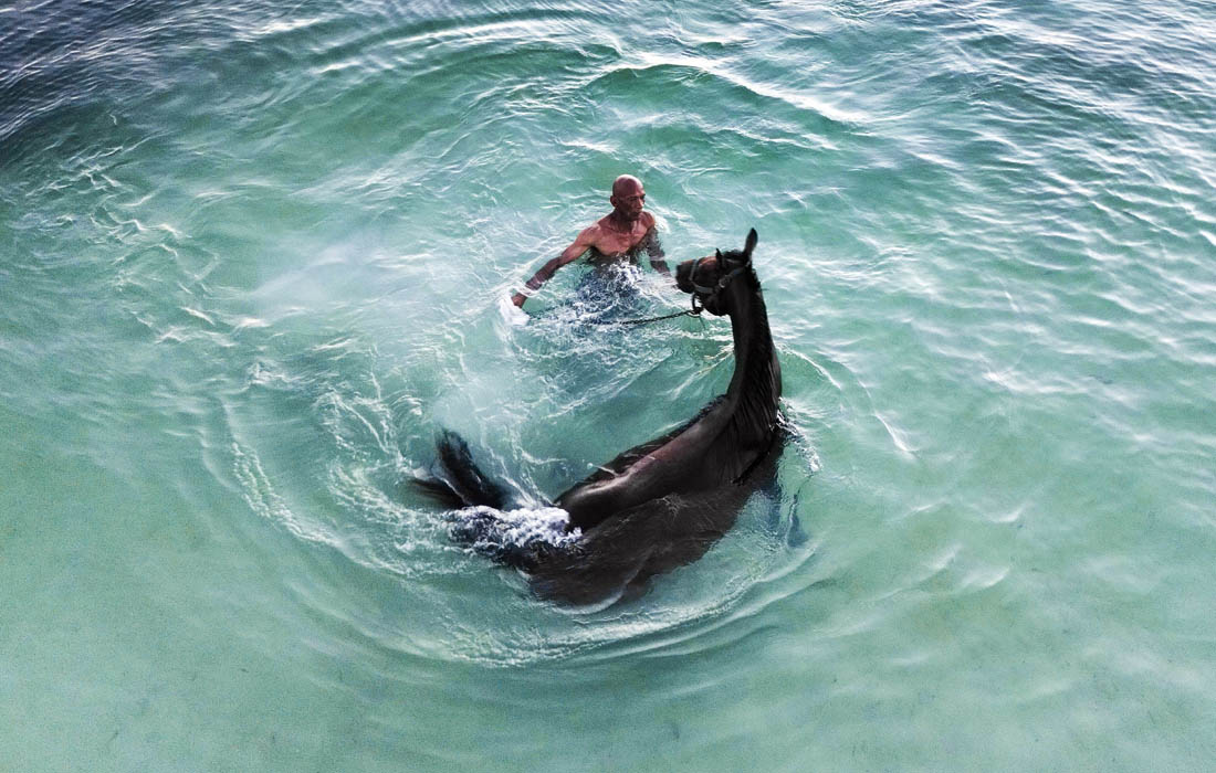Разведение скаковых лошадей на колумбийском острове Сан-Андрес